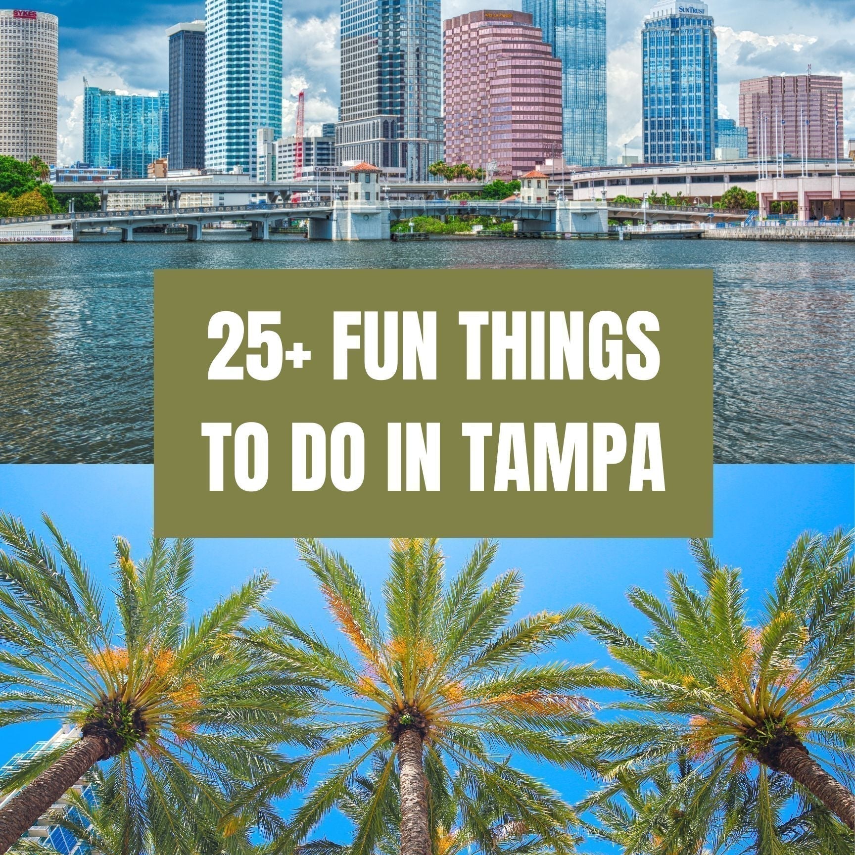 Fun Things to Do in Tampa, Florida 
