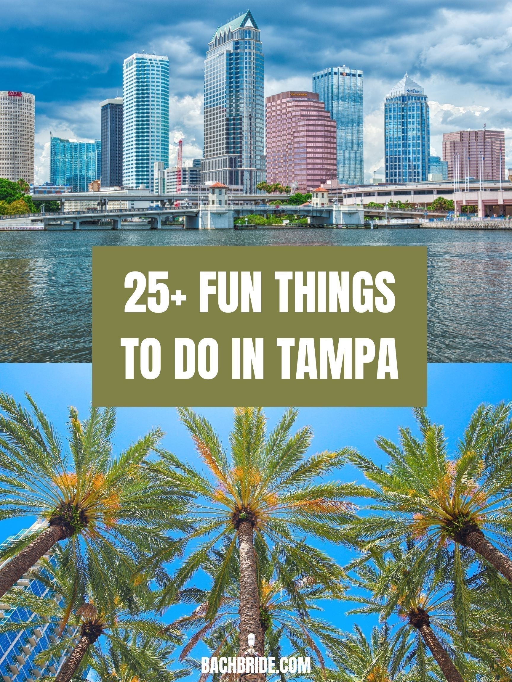 Fun Things to Do in Tampa, Florida 