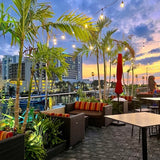 Bar Tiki