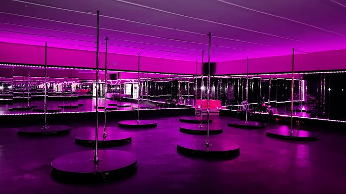 Teazers Pole Party bachelorette party