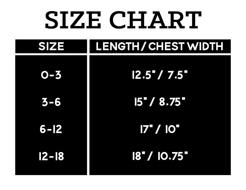 Personalized Baby Bodysuit