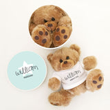 Personalized Baby Shower Teddy Bear