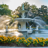 Forsyth Park