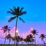 South Beach