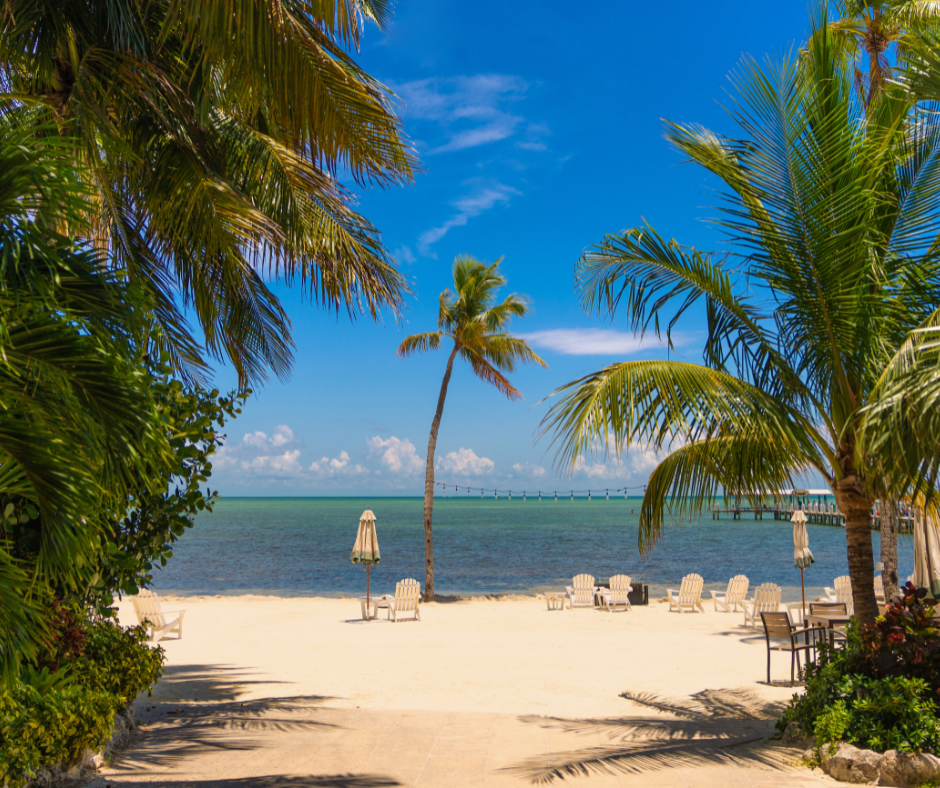 Beach scene with palm trees, lounge chairs, and clear blue sky.