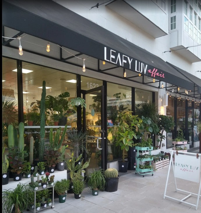 hyde park village