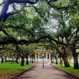Walk The Battery