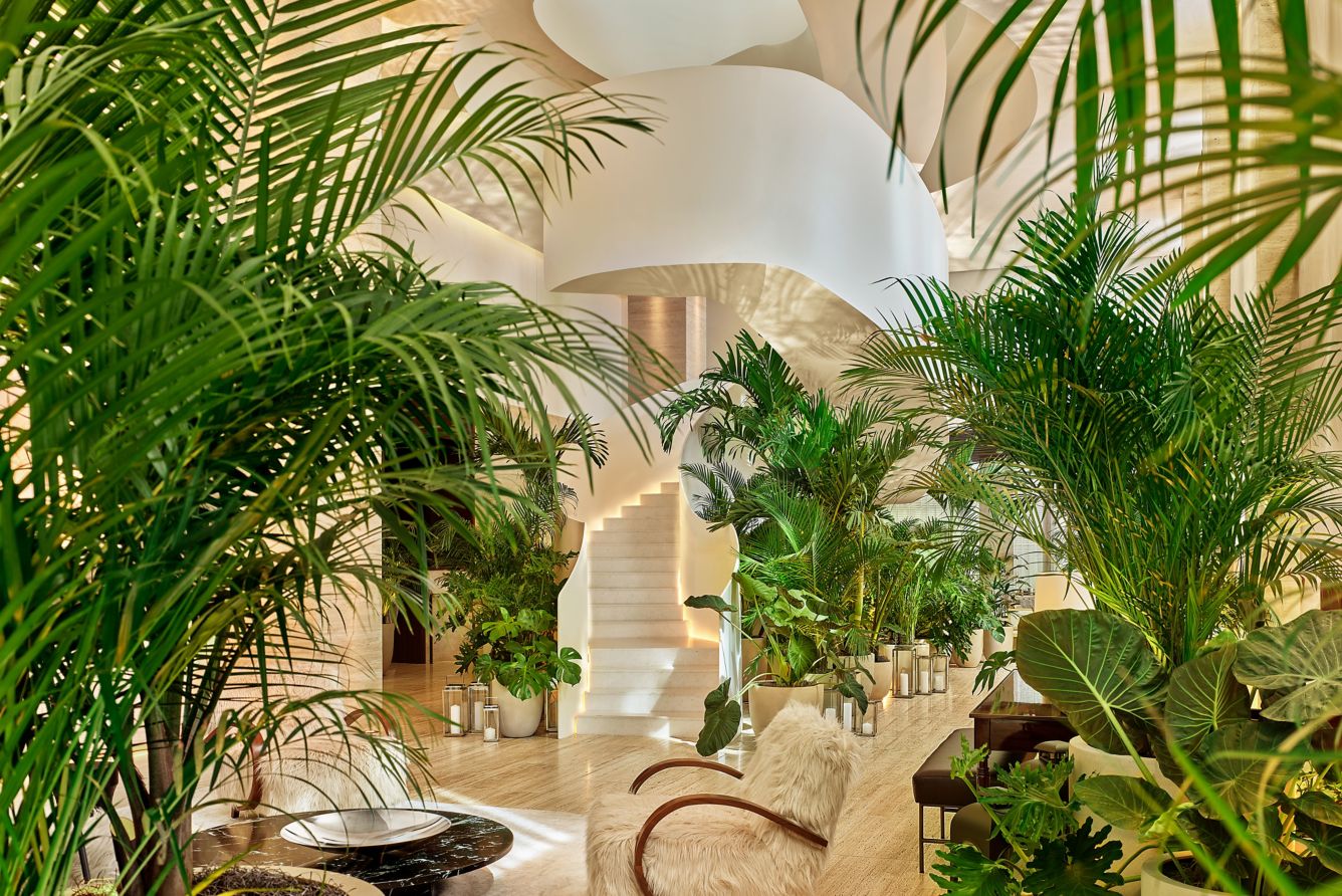 The Tampa Edition Resort Pass