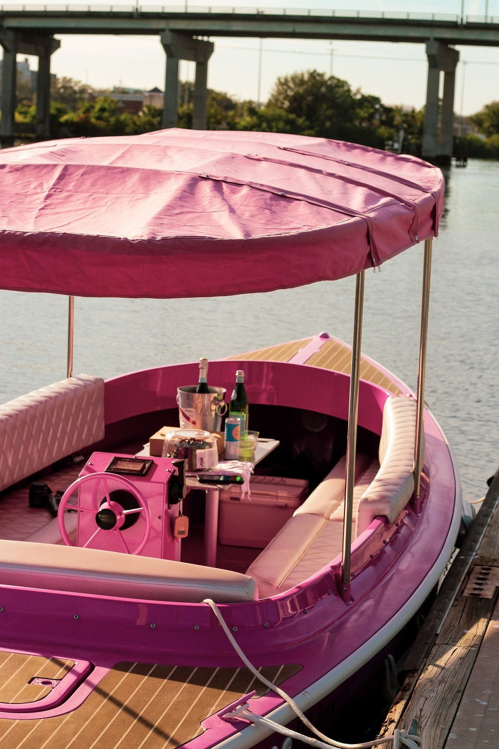 Pink Cruises Tampa