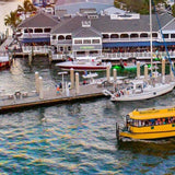 Fort Lauderdale Water Taxi
