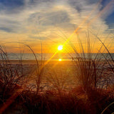 Indian Rocks Beach