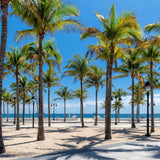 Las Olas Beach