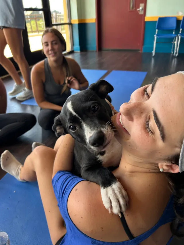 Puppy Power Yoga