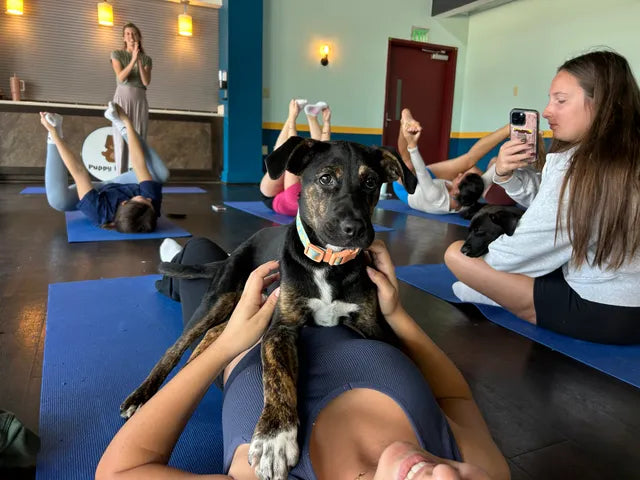 Puppy Power Yoga
