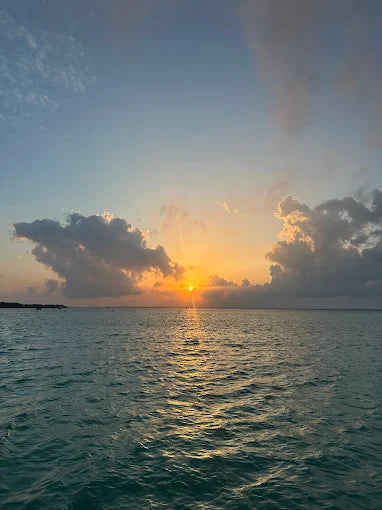 Sandy Bottom Boat Tours
