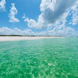 Shell Island
