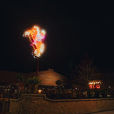 Terry Black’s BBQ