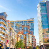 The Gulch