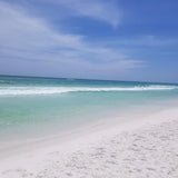 Henderson Beach State Park