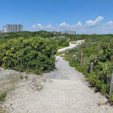 Henderson Beach State Park