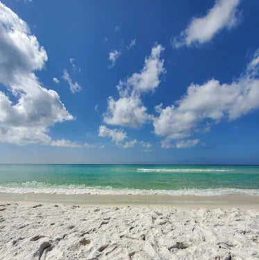 Henderson Beach State Park