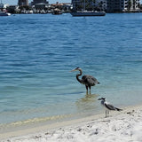 Norriego Point Beach Access and Park